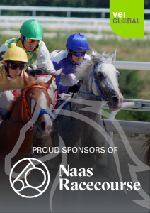 Proud Sponsors of Naas Racecourse