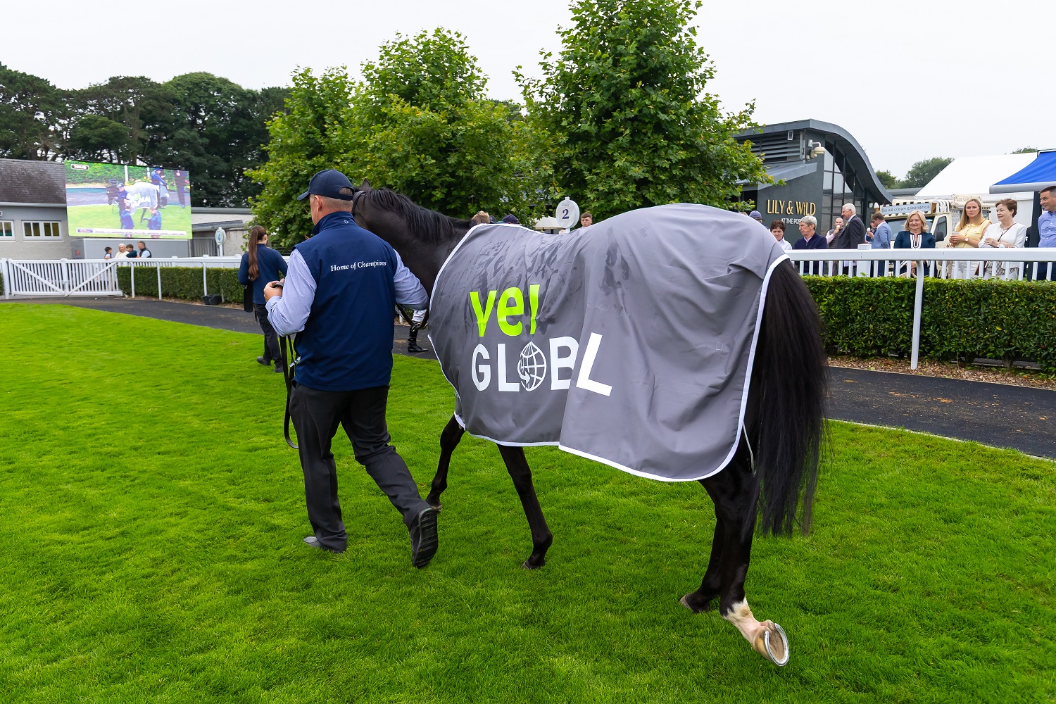 Naas Races